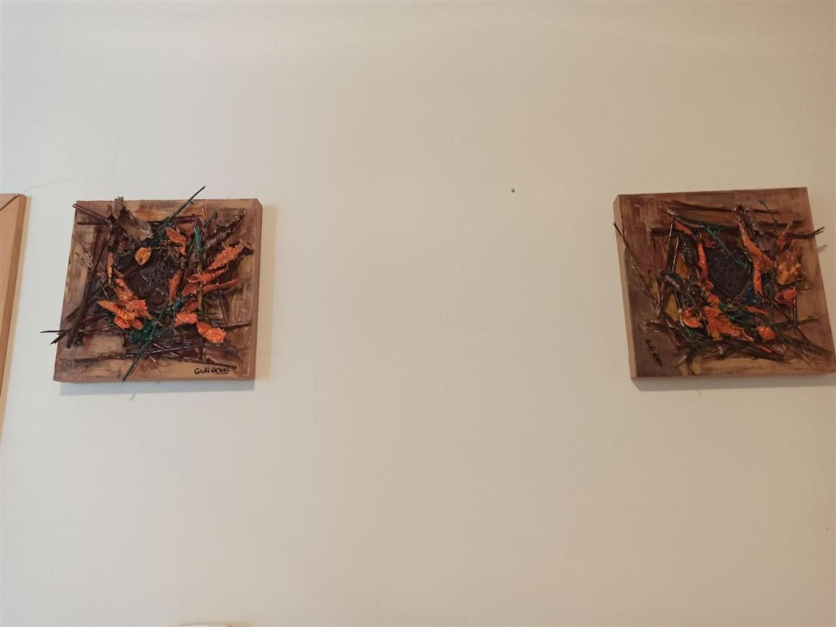 Juli Richi Apartment Croviana 外观 照片